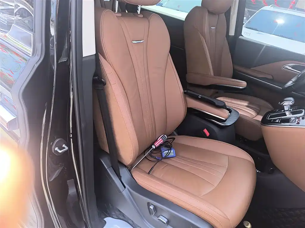 Hongqi HQ9 PHEV 2024 Model 2.0T AWD Business Edition фото 25
