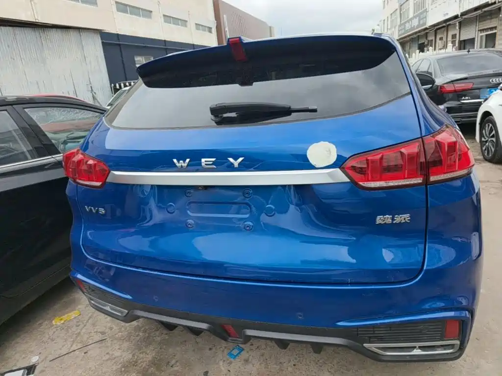 Фото 6 - WEY VV5