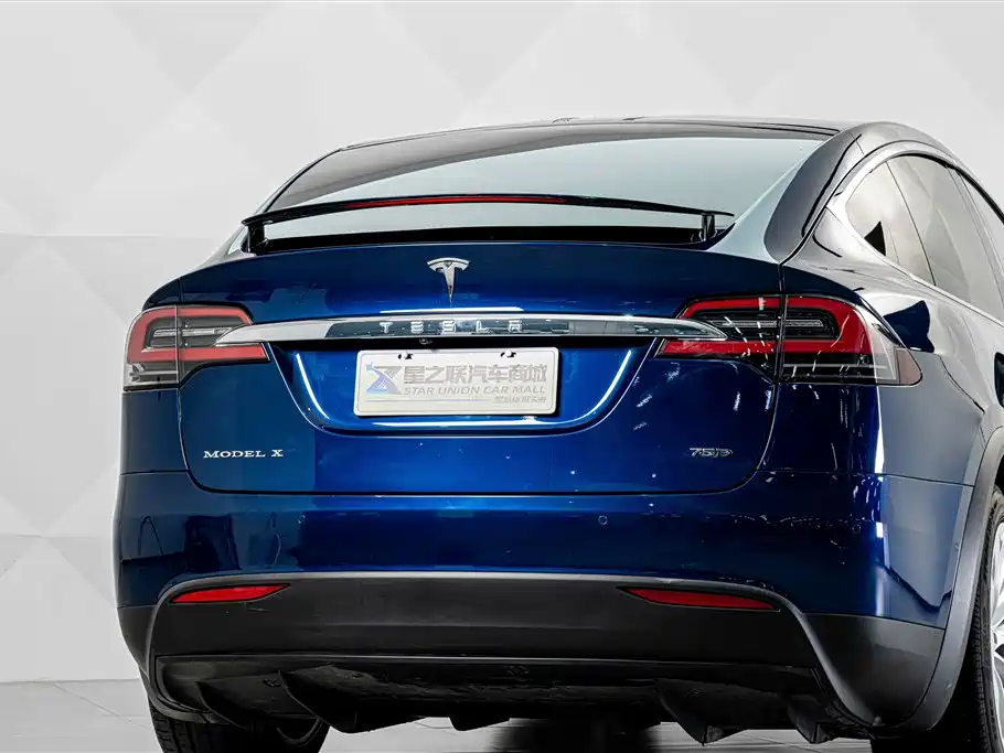 Фото 8 - Tesla Model X