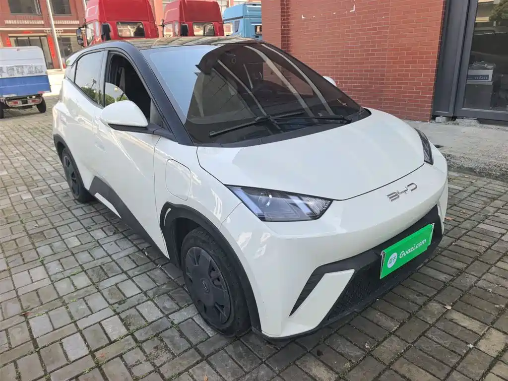 BYD Seagull 2023 Vitality Edition фото 4