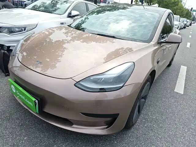 Tesla Model 3 Задний привод