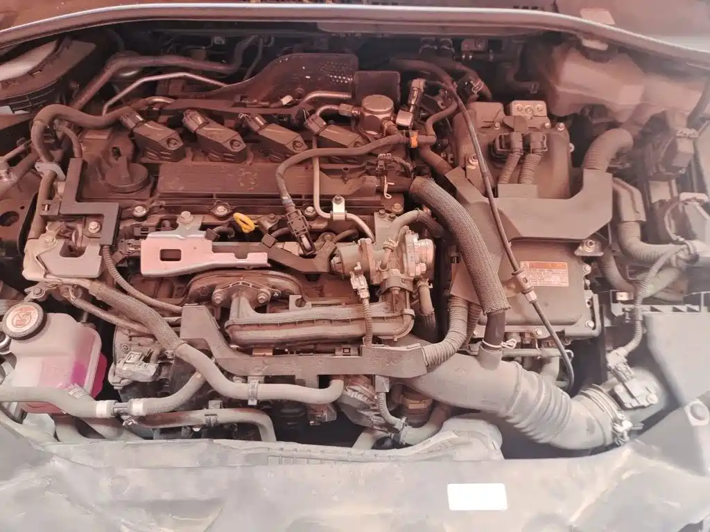Toyota IZOA 2022 2021 Hybrid 2.0L YiXing Edition