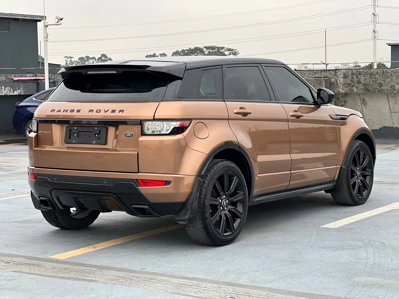 Land Rover Range Rover Evoque (Import) 2014 2.0T 5-door Limited Edition фото 4