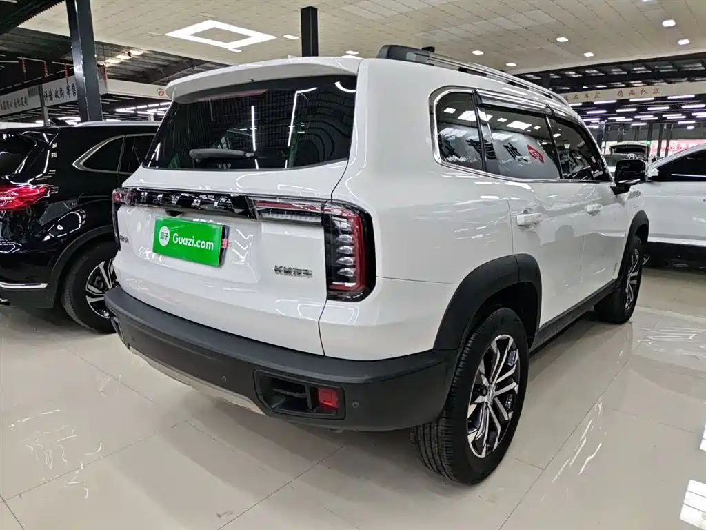 Haval Big Dog 2022 1.5T DCT FWD Border Collie Edition фото 7