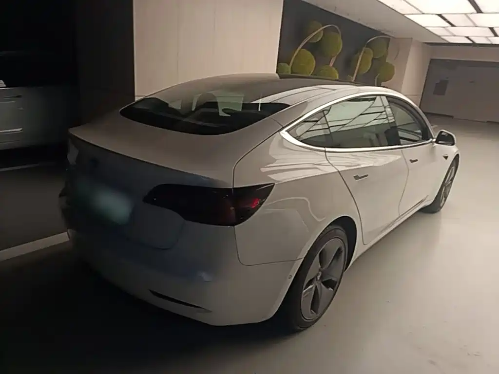 Tesla Model 3 (Import) 2019 2019 Long Range RWD Version