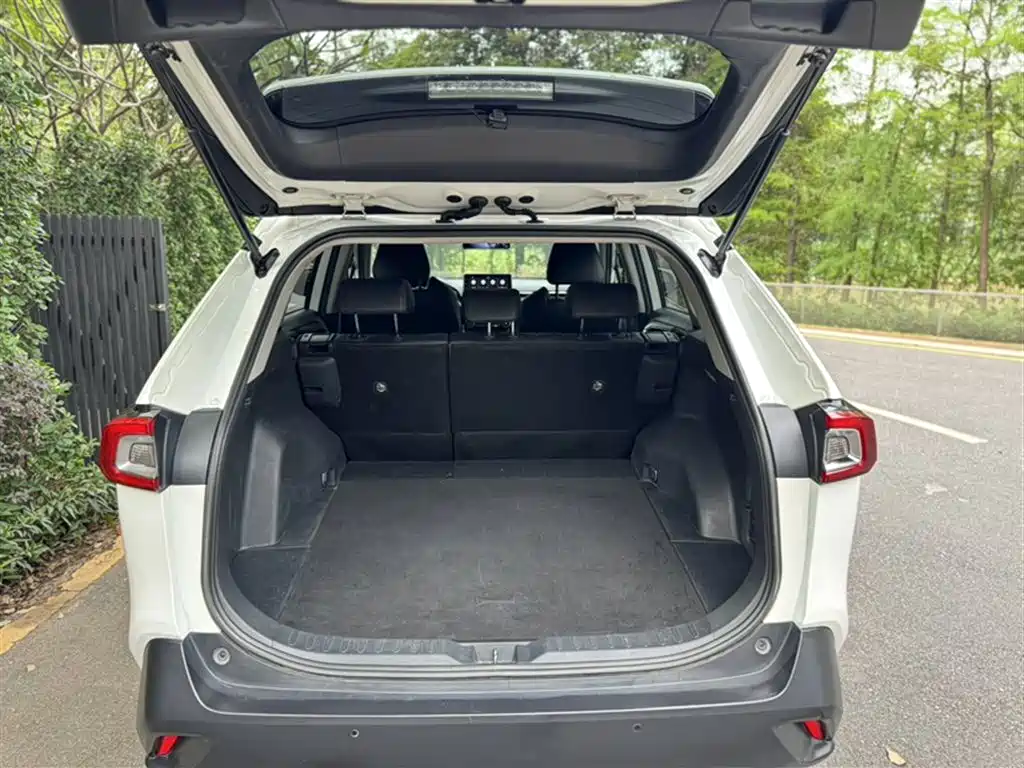Toyota Wildlander 2020 2.0L CVT AWD Luxury Edition фото 15