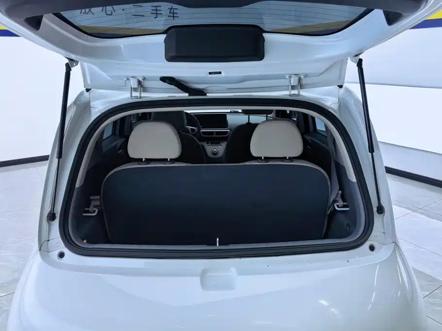 Ora White Cat 2021 2020 305km Luxury