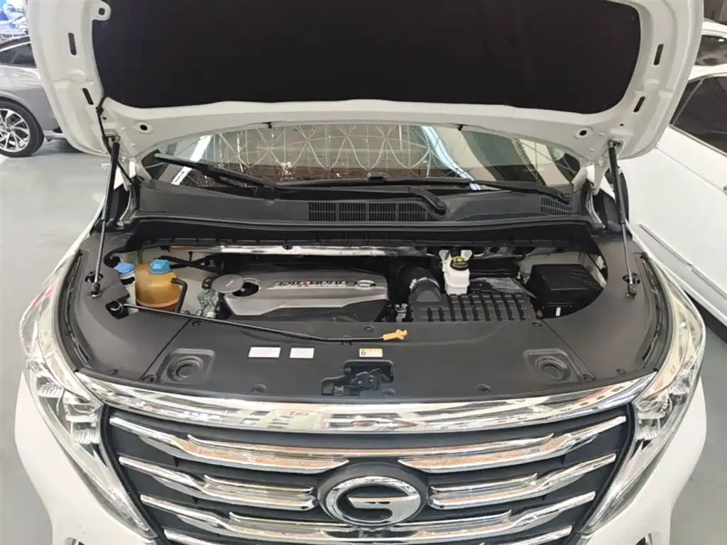 GAC Trumpchi Trumpchi M8 2018 320T Flagship Edition фото 20