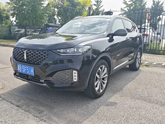  WEY Wey VV6 2020 2.0T 4WD Intelligent Drive+