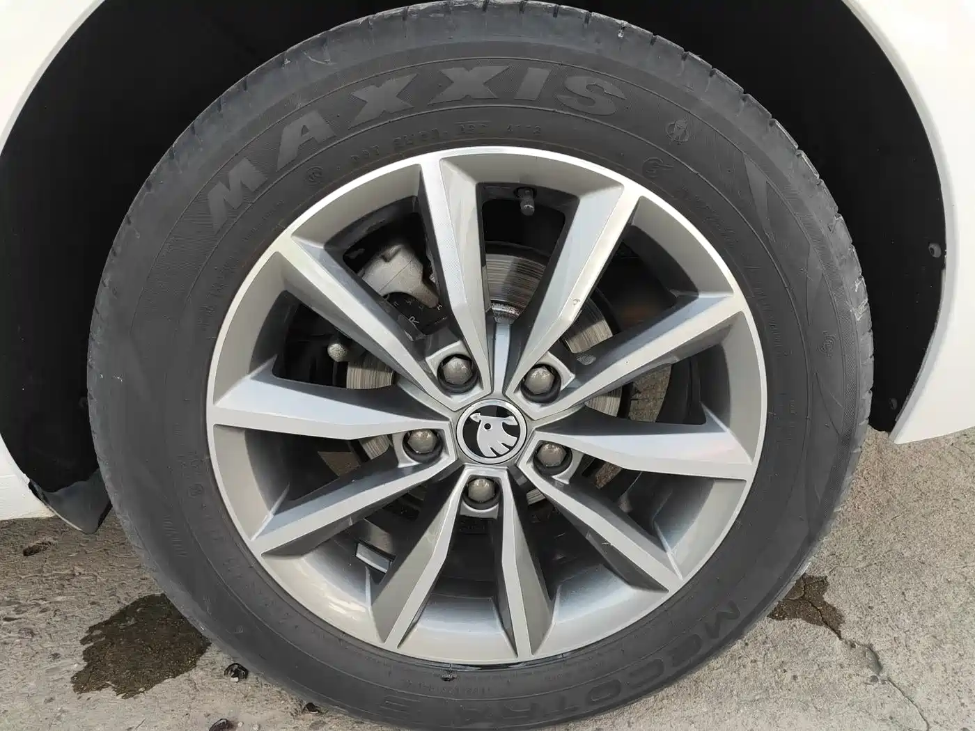 Škoda Octavia 2017 1.6L Automatic Pioneer Edition фото 13