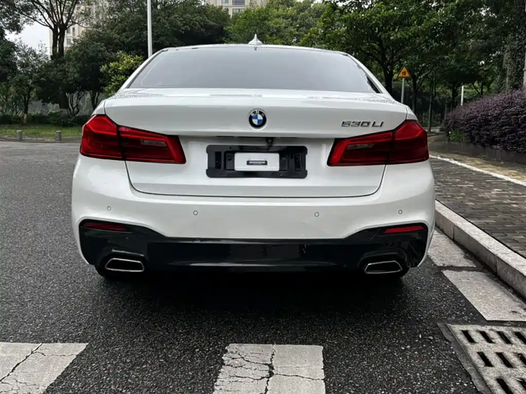 BMW 5 Series 2020 530Li Leading M Sport Package фото 11