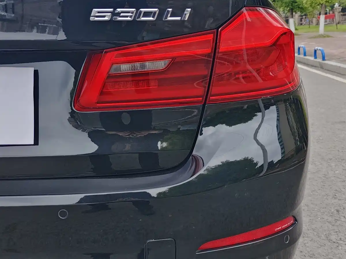 BMW 5 Series 2018 530Li Exclusive Luxury Package фото 9
