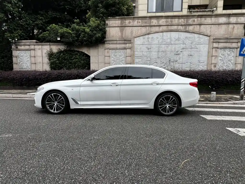 BMW 5 Series 2020 530Li Leading M Sport Package фото 17