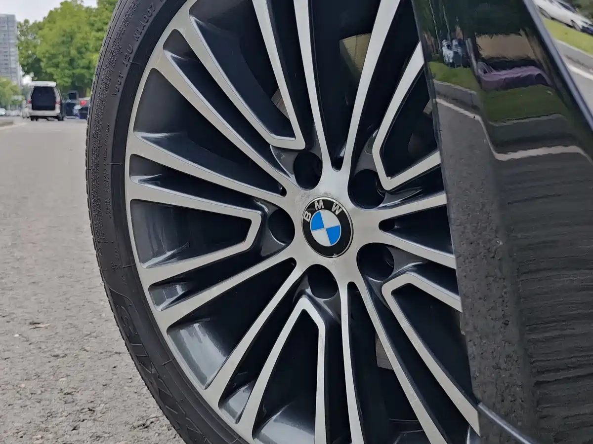 BMW 5 Series 2018 530Li Exclusive Luxury Package фото 8
