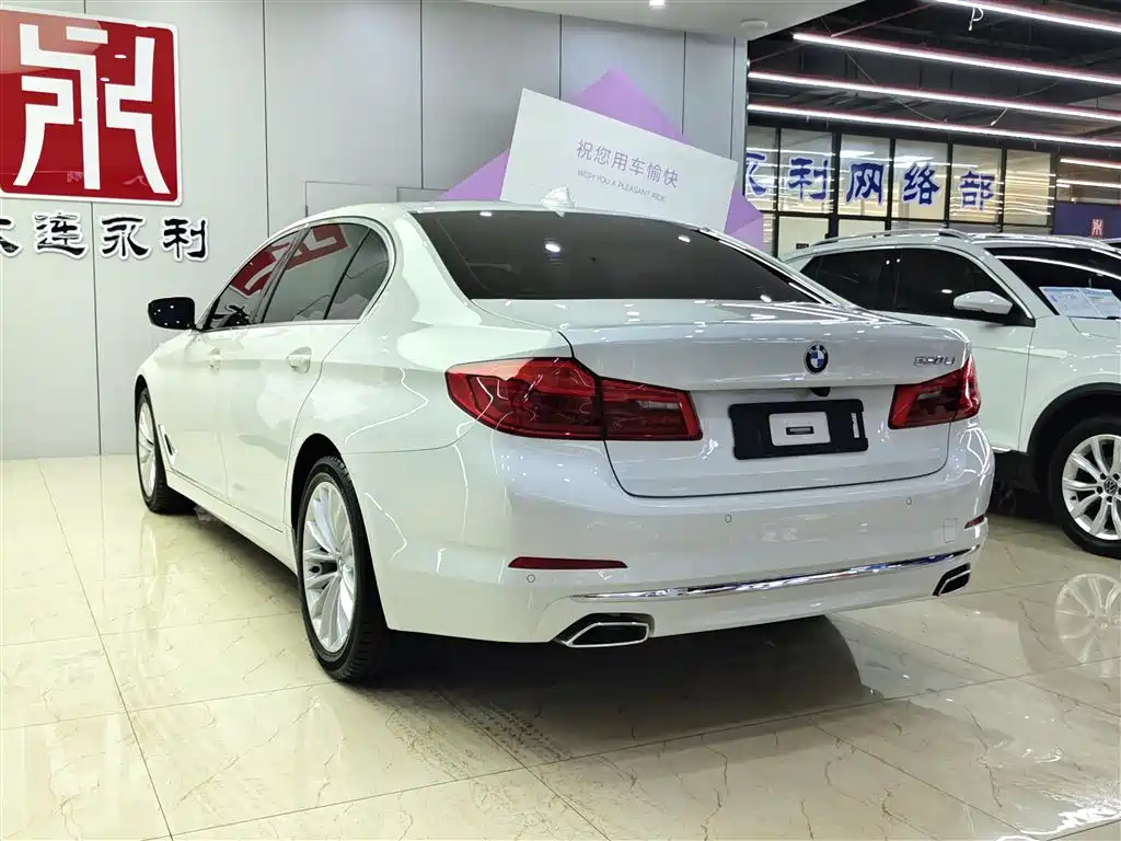 BMW 5 Series 2019 530Li Leading Luxury Package фото 4