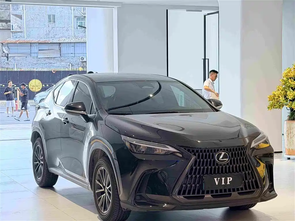 2025 Lexus NX