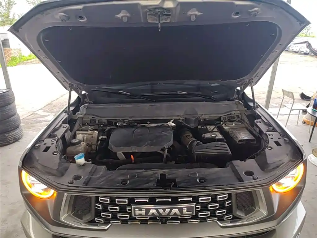 Haval Da Gou 2nd Gen 2023 2.0T AWD Wild Adventure Plus фото 18