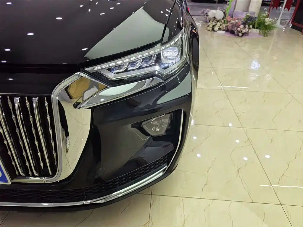 Hongqi HS5 2019 2.0T Smart Connect Enjoy 4WD Edition фото 9