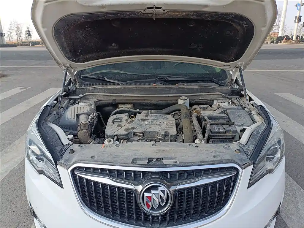 Buick Envision Plus 2018 20T 2WD Luxury фото 16