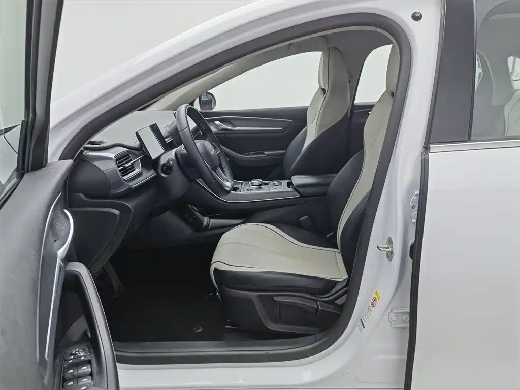 BYD Destroyer 05 2024 Glory Edition DM-i 55KM Luxury фото 10