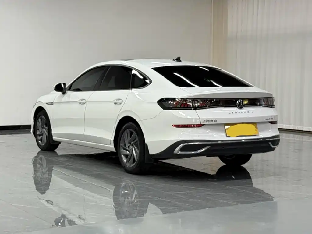 صورة 4 - Volkswagen Lamando