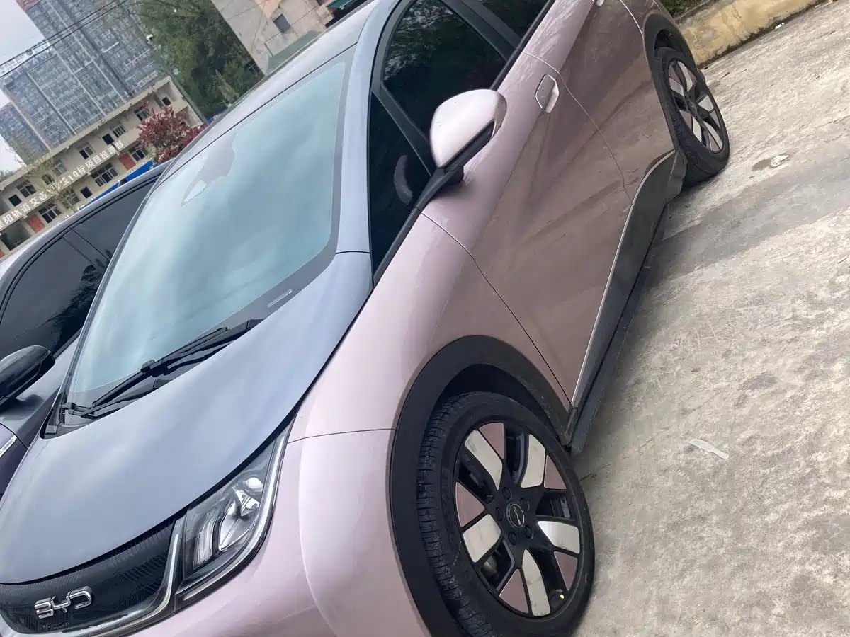 BYD Dolphin 2023 401km Knight Edition фото 2