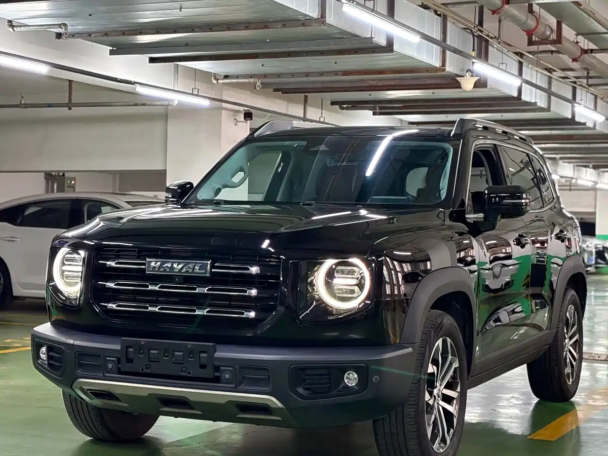 Haval Big Dog 2022 1.5T DCT FWD Border Collie Edition