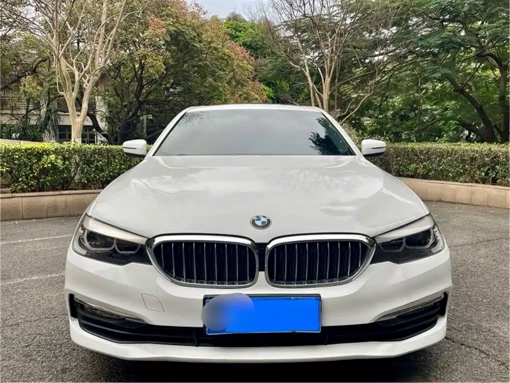 BMW 5 Series 2018 528Li Launch Special Edition