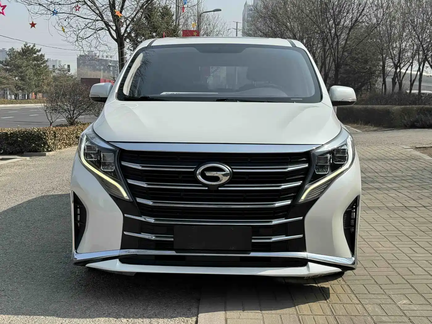 GAC Trumpchi Trumpchi M8 2021 Leading Show Series 390T Premium Edition фото 2