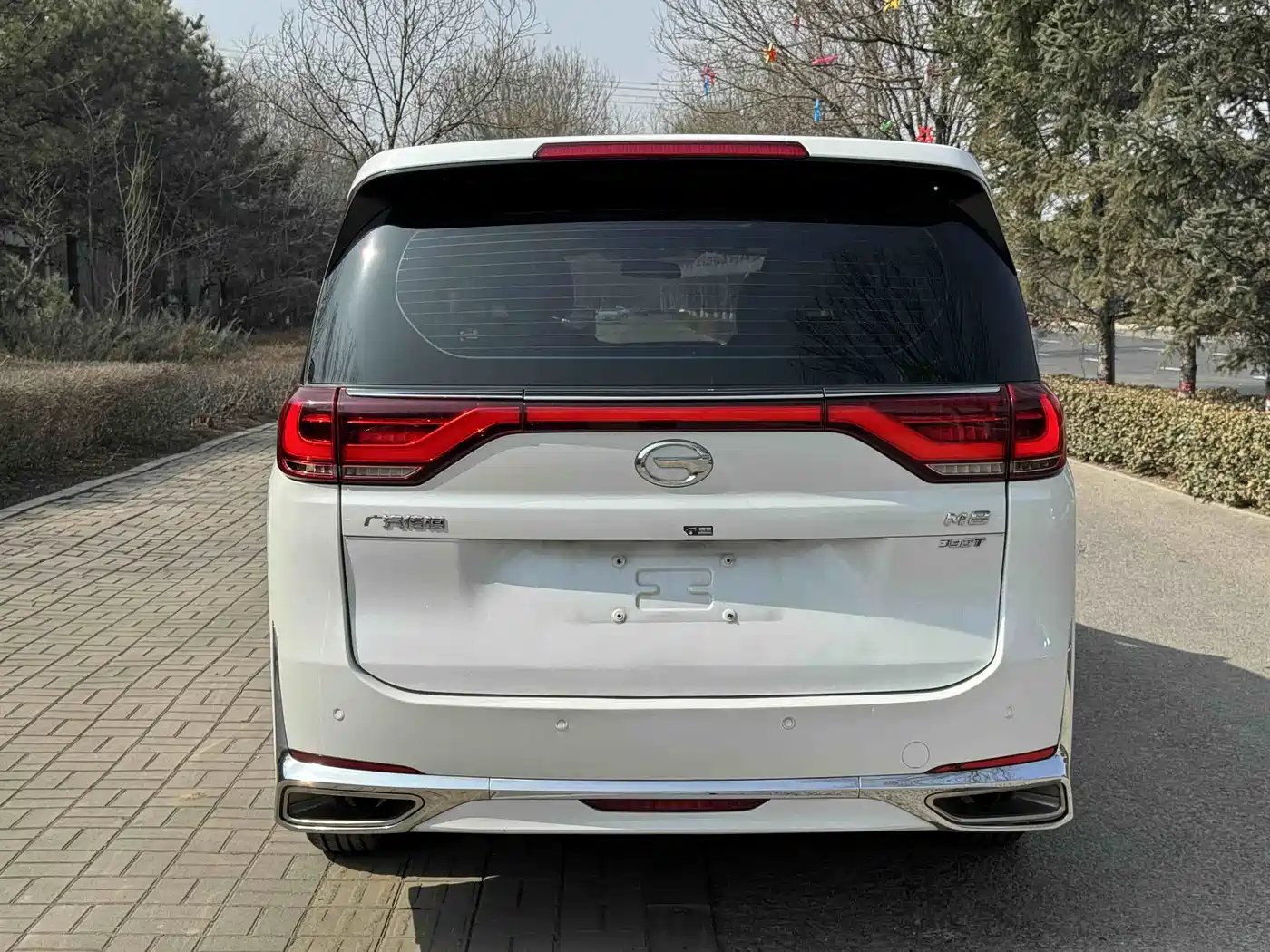 GAC Trumpchi Trumpchi M8 2021 Leading Show Series 390T Premium Edition фото 6