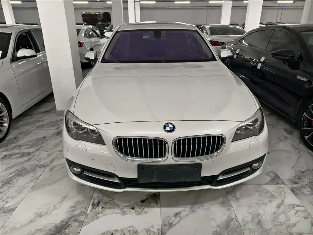 BMW 5 Series 2017 520Li Classic Edition фото 6