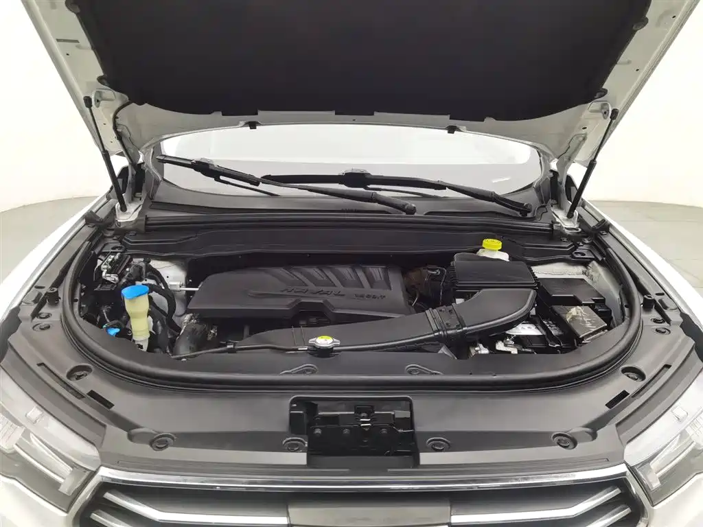 Haval H4 2019 1.5GDIT DCT Elite Smart Connect Edition China V фото 6