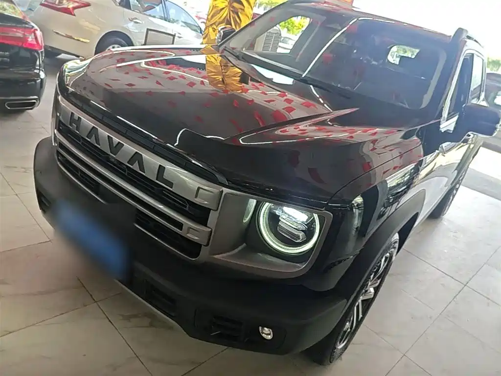 Haval Big Dog 2024 1.5T DCT Border Collie Edition