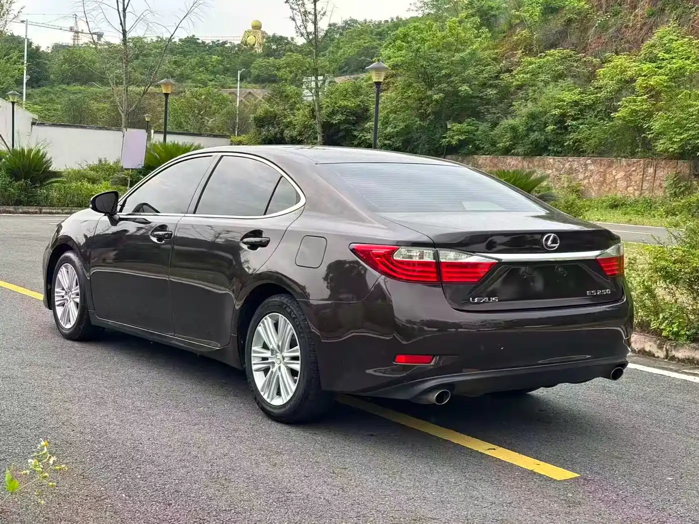 Lexus ES 2014 250 Elite Edition фото 4