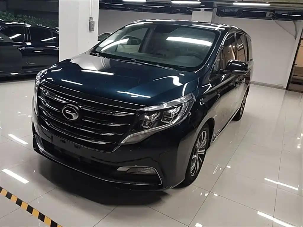 GAC Trumpchi Trumpchi M8 2018 320T Premium Edition фото 2