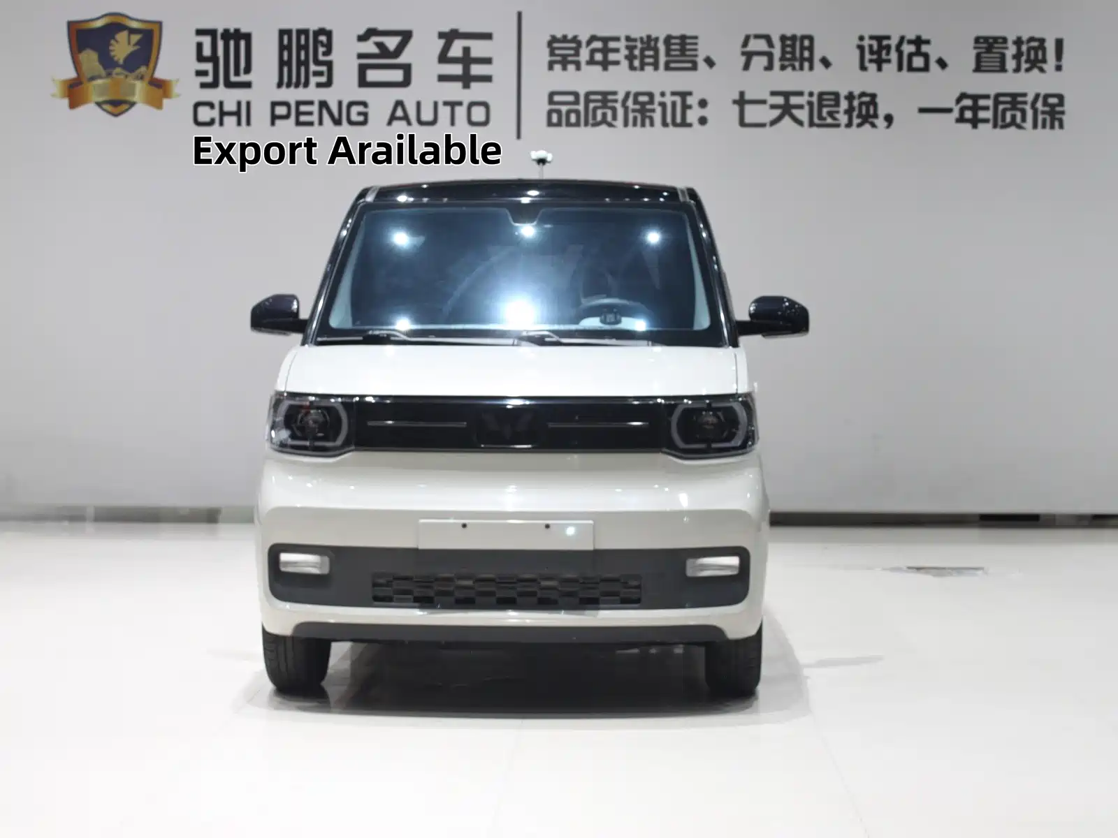 Фото 4 - Wuling Motors Hongguang MINIEV