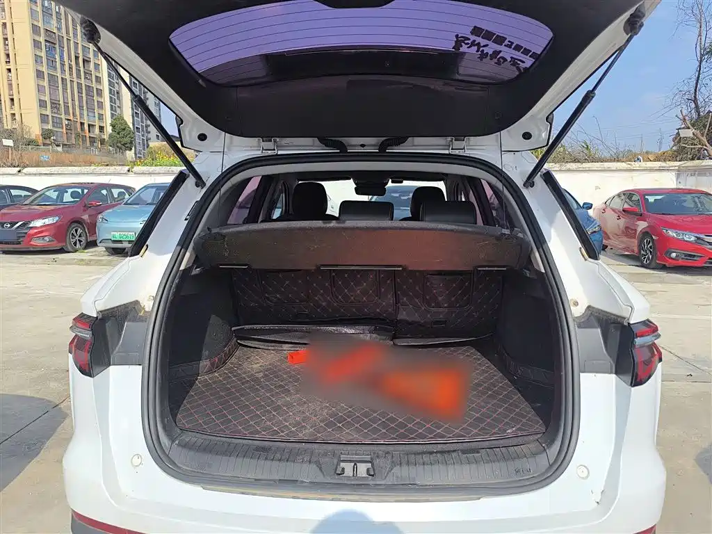 BYD Song Pro 2019 1.5T Automatic Luxury фото 19