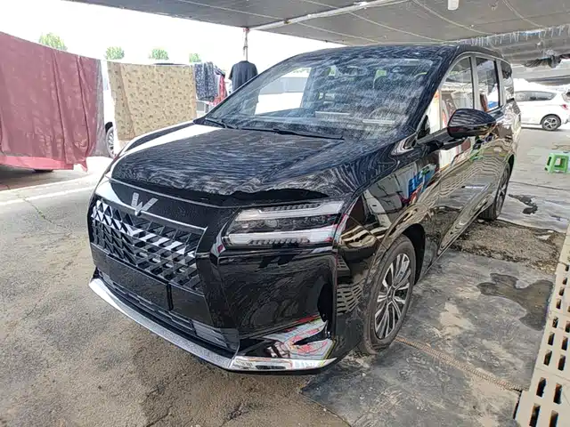 Wuling Motors Xingguang 730 New Energy 2025 Model Plug-in Hybrid Base Version