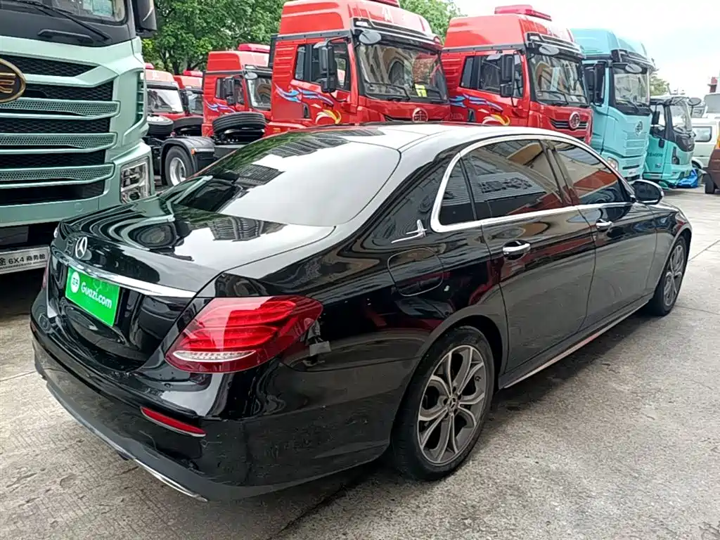 Mercedes-Benz E-Class 2020 E 300 L Sport Luxury Model фото 5