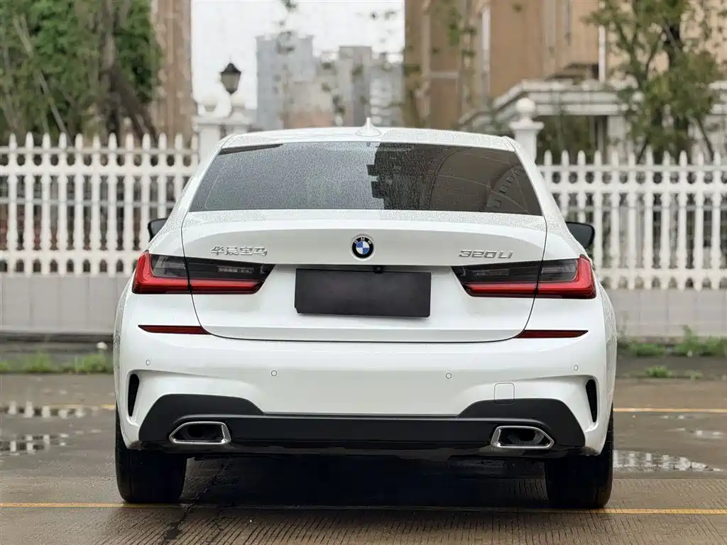 BMW 3 Series 2020 320Li M Sport Package фото 8