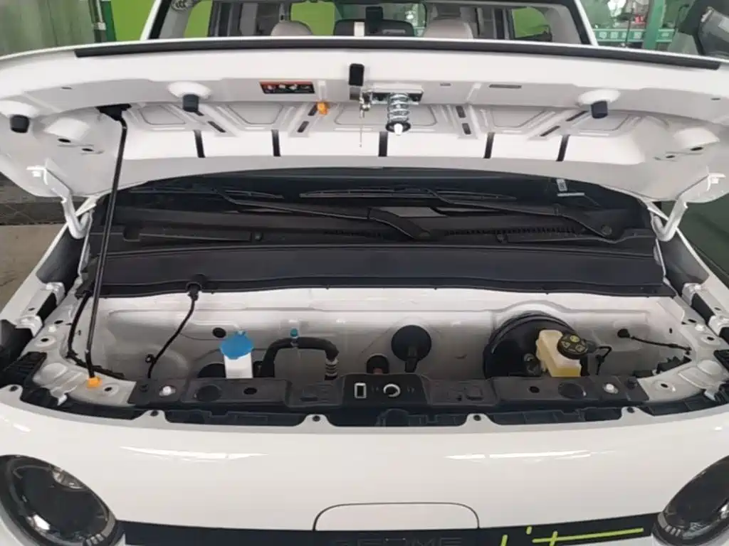 Geely Galaxy Panda 2026 2025 Panda mini 210km Vitality Bear