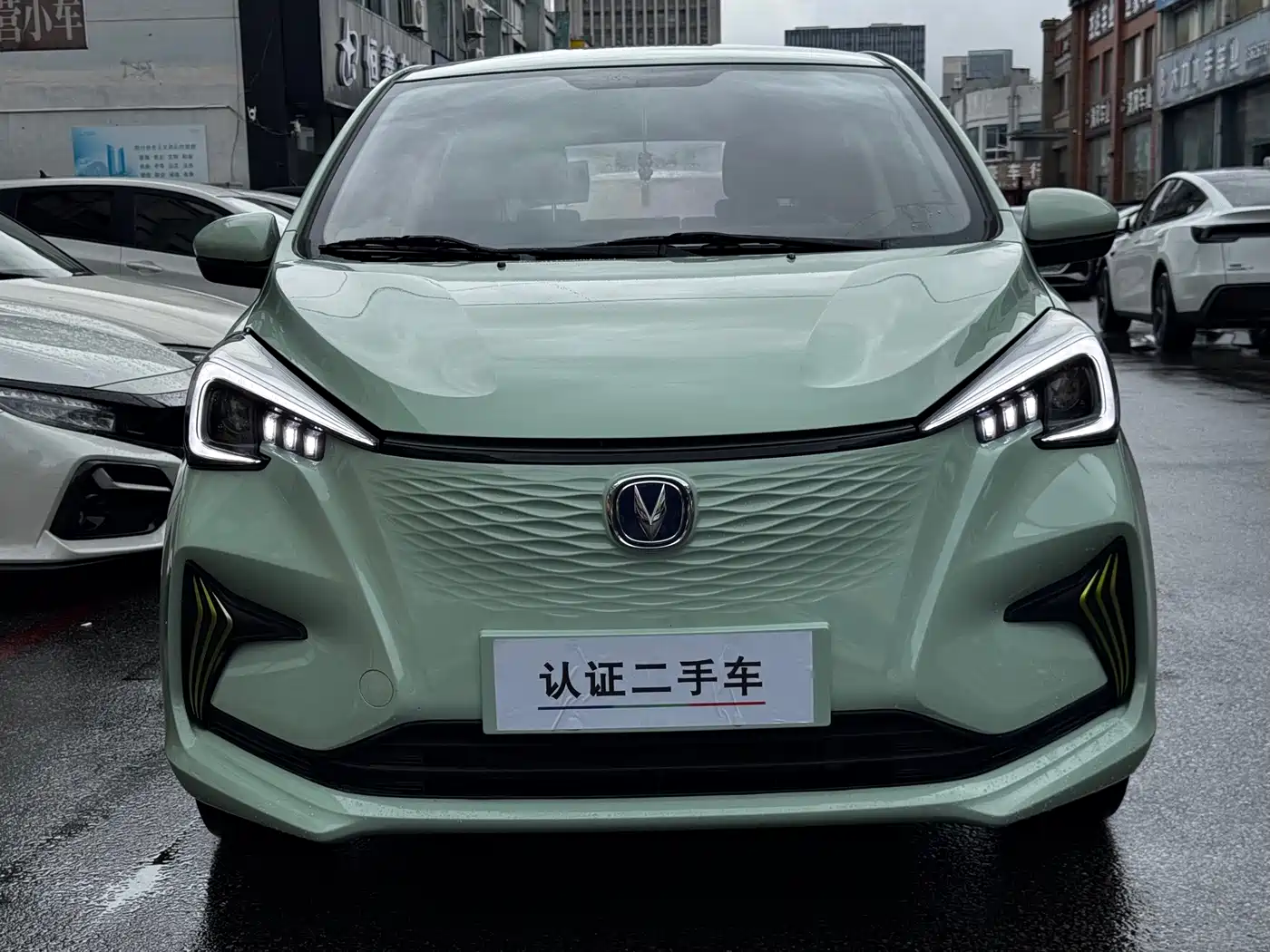 Changan Benben E-Star 2022 2022 Appreciation Edition Colorful LFP