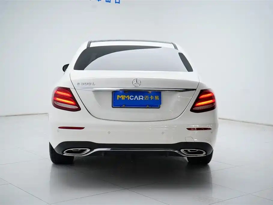 Mercedes-Benz E-Class 2020 E 300 L Sport Luxury Model фото 16