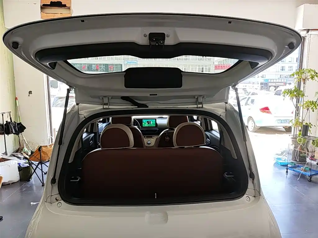 Ora White Cat 2021 2020 305km Luxury