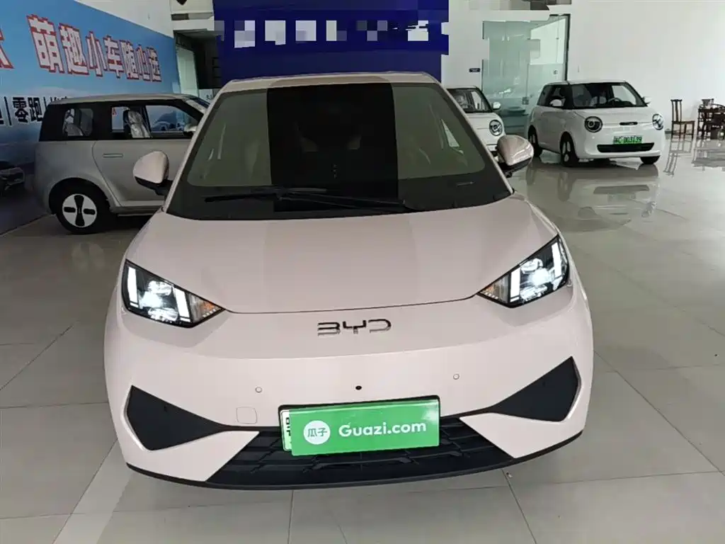 BYD Seagull 2025 Smart Drive Edition 305km Freedom Version фото 3