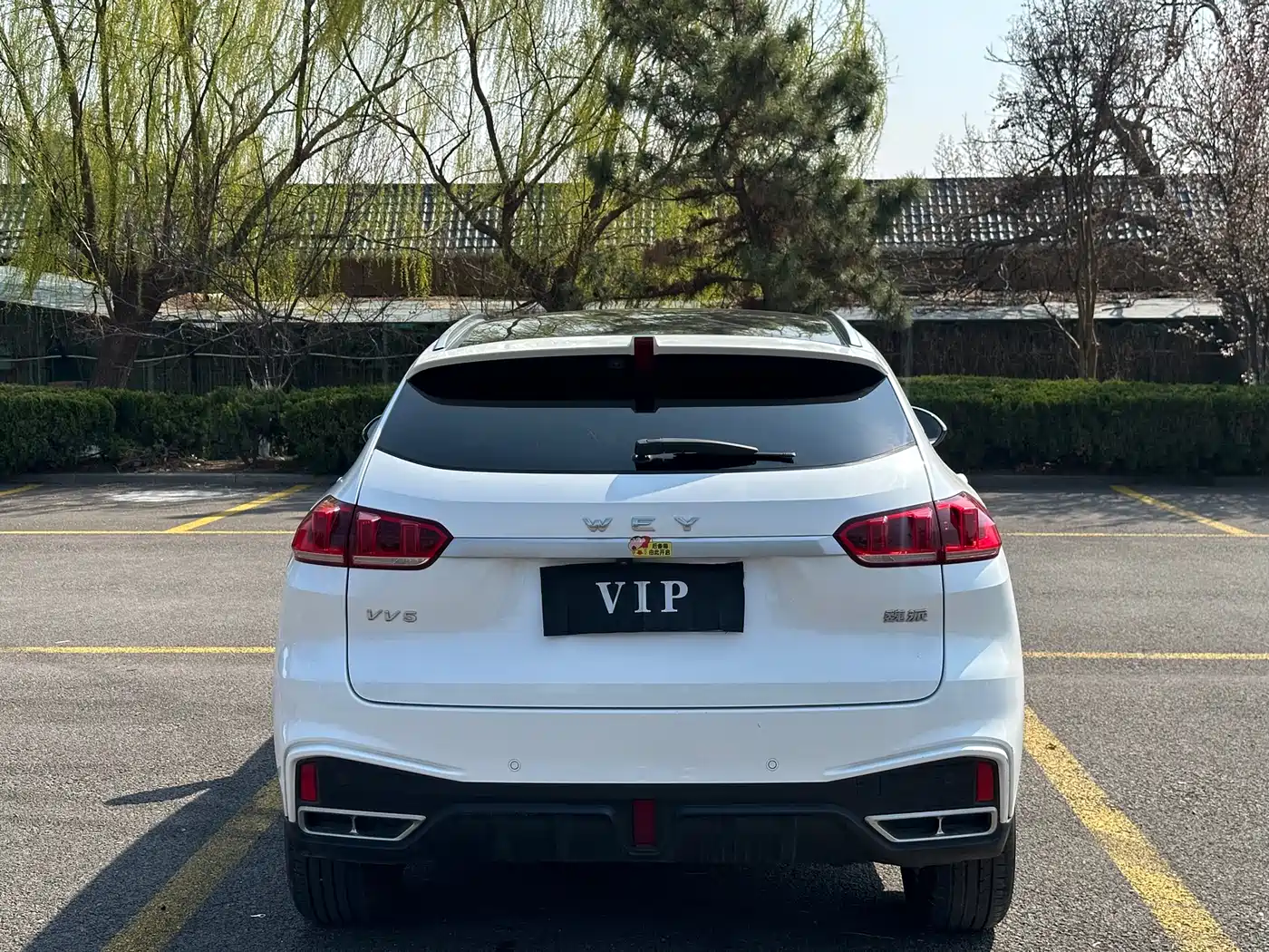 WEI PAI WEI BRAND VV5