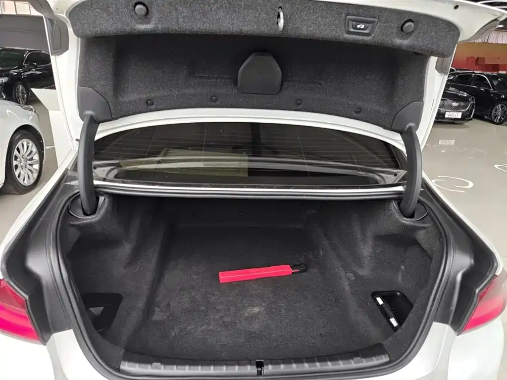 BMW 5 Series 2020 530Li Leading M Sport Package фото 19