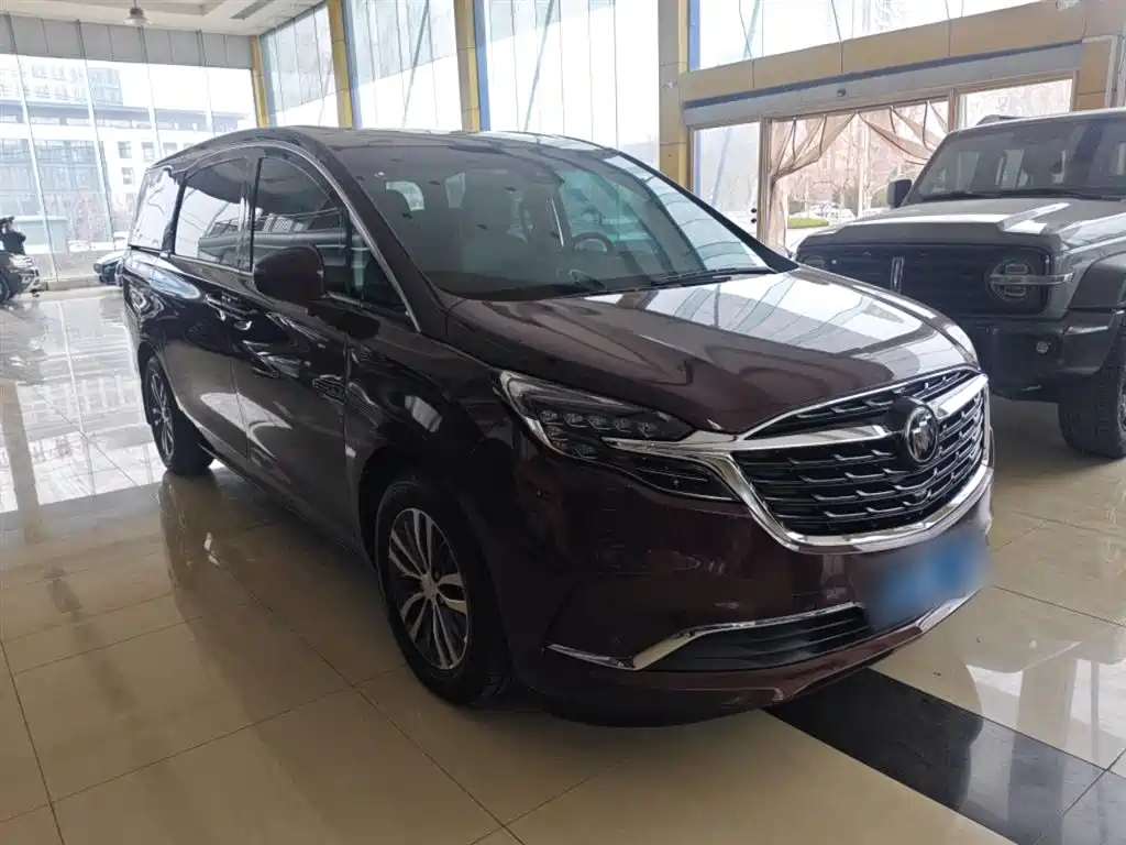 Buick GL8 2022 ES Landmark 653T Premium фото 4