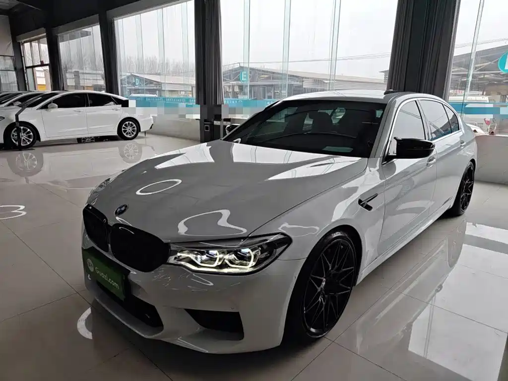 BMW 5 Series 2020 530Li Leading M Sport Package фото 2