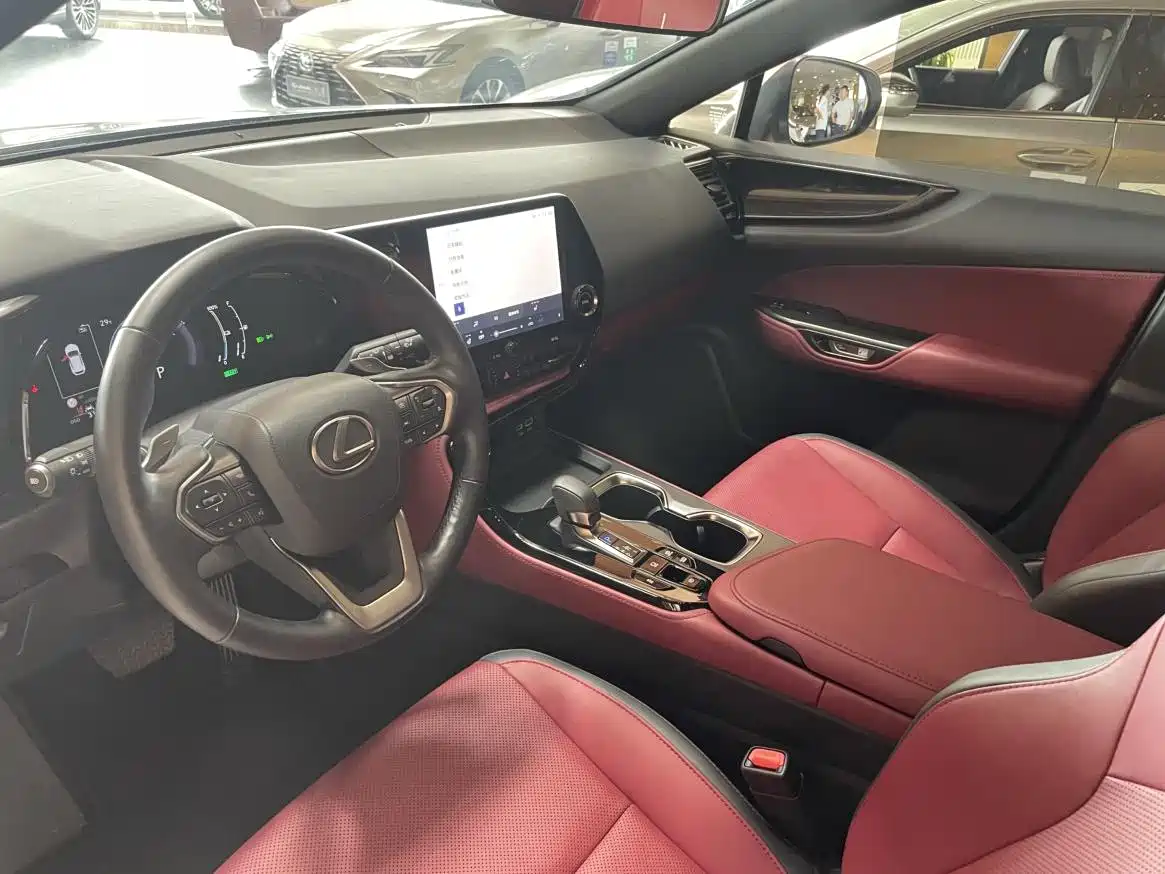 Lexus NX New Energy 2023 2023 400h+ Joy Edition
